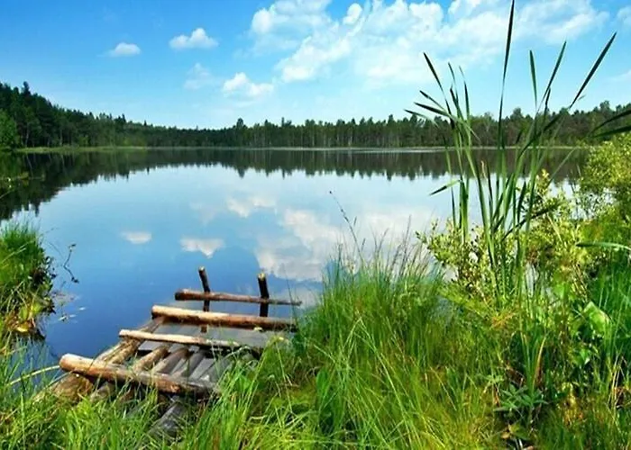 Comfortable Holiday Homes, Pool, Sauna, Jacuzzi Σπίτι διακοπών Osieki (Koszalin)